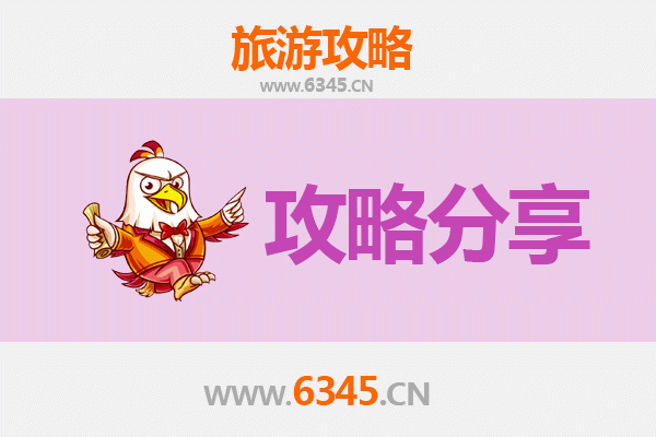 洛阳洛龙至湄洲岛旅游攻略：跟团 vs 自由行深度解析